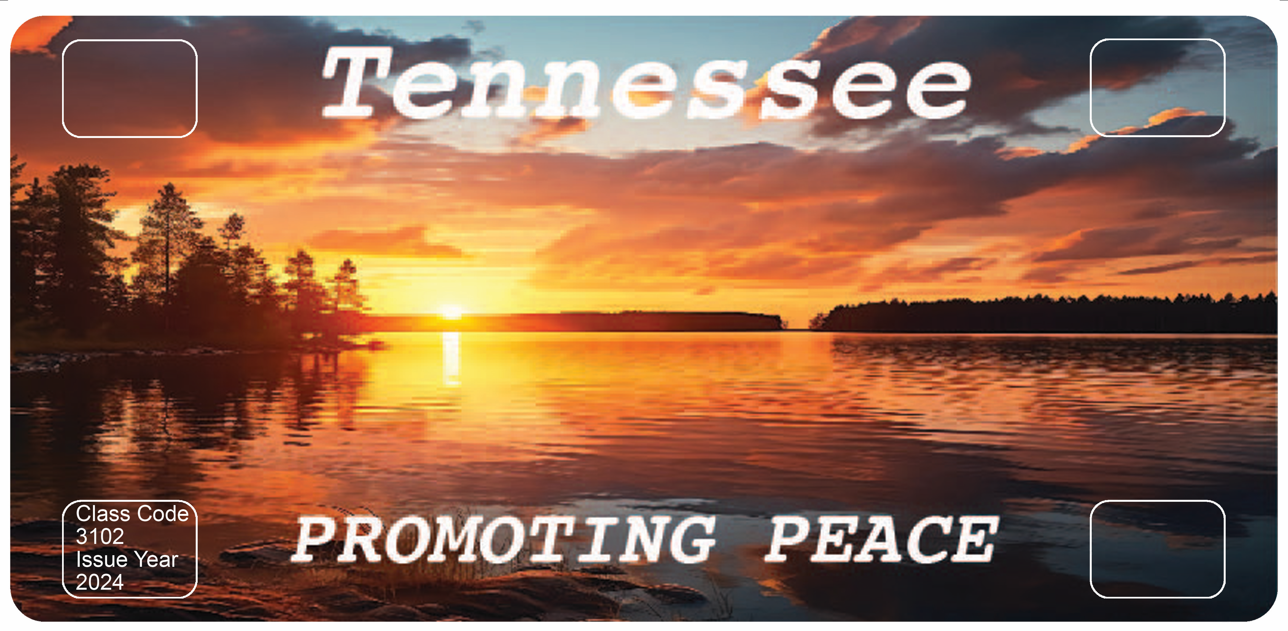 Promote Peace license plate January 2025.png
