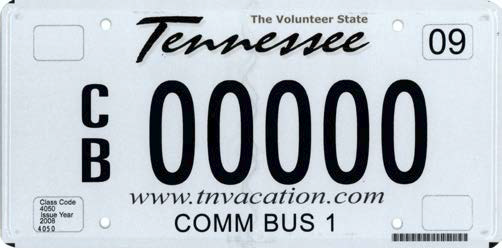 Parcial mientras tanto navegador COMMERCIAL BUS (TAXI/LIMO) PLATE – Vehicle Services County Clerk Guide