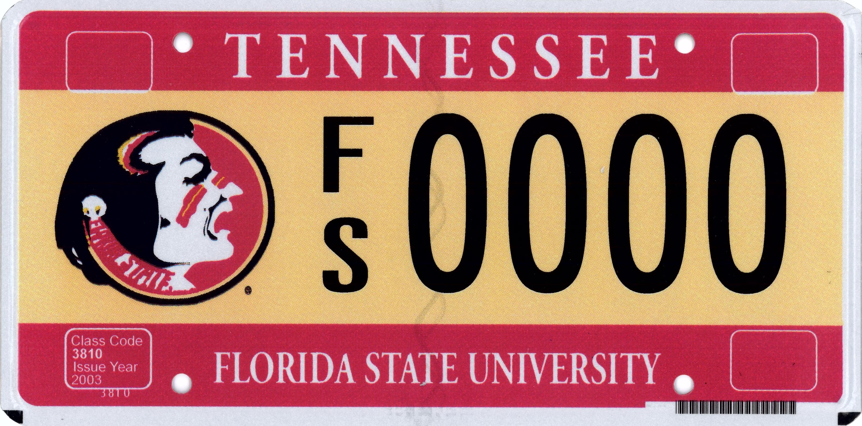 FLORIDA STATE (FSU) COLLEGIATE PLATE Vehicle Services County Clerk
