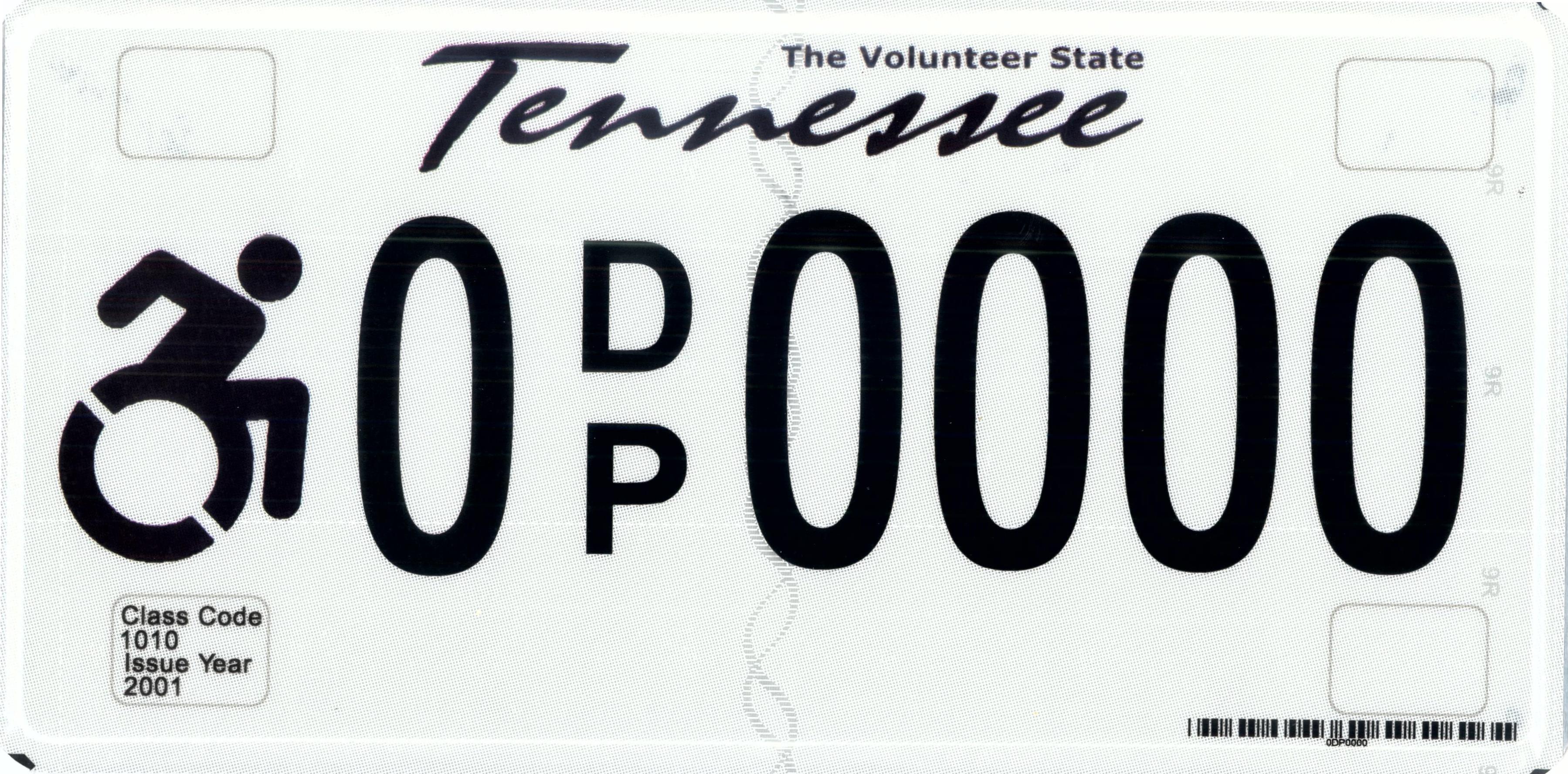 Disabled Driver Plates Vehicle Services County Clerk Guide Disabled Driver Plates Vehicle Services County Clerk Guide
